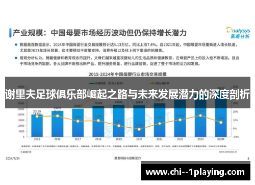 谢里夫足球俱乐部崛起之路与未来发展潜力的深度剖析 谢里夫足球俱乐部崛起之路与未来发展潜力的深度剖析