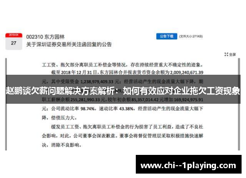 赵鹏谈欠薪问题解决方案解析：如何有效应对企业拖欠工资现象