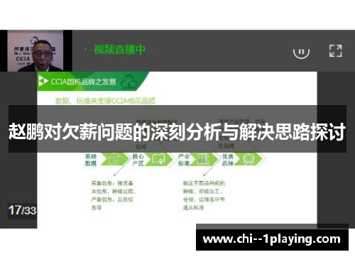 赵鹏对欠薪问题的深刻分析与解决思路探讨