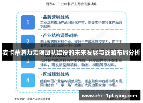 麦卡蒂潜力无限团队建设的未来发展与战略布局分析