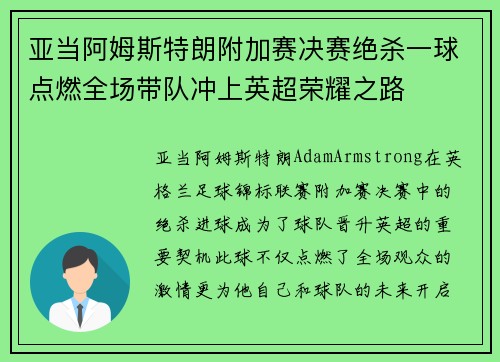 亚当阿姆斯特朗附加赛决赛绝杀一球点燃全场带队冲上英超荣耀之路